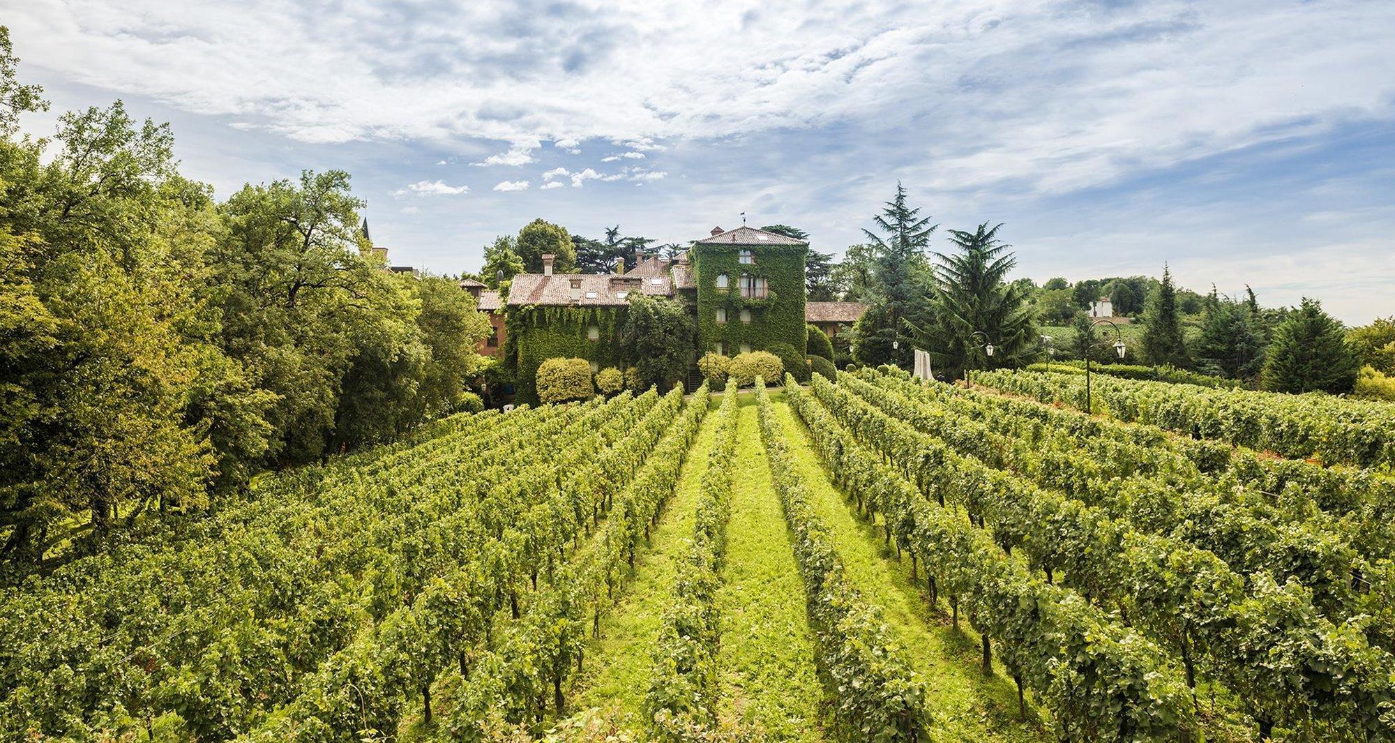 L'Albereta Relais & Chateaux Ербуско Екстер'єр фото